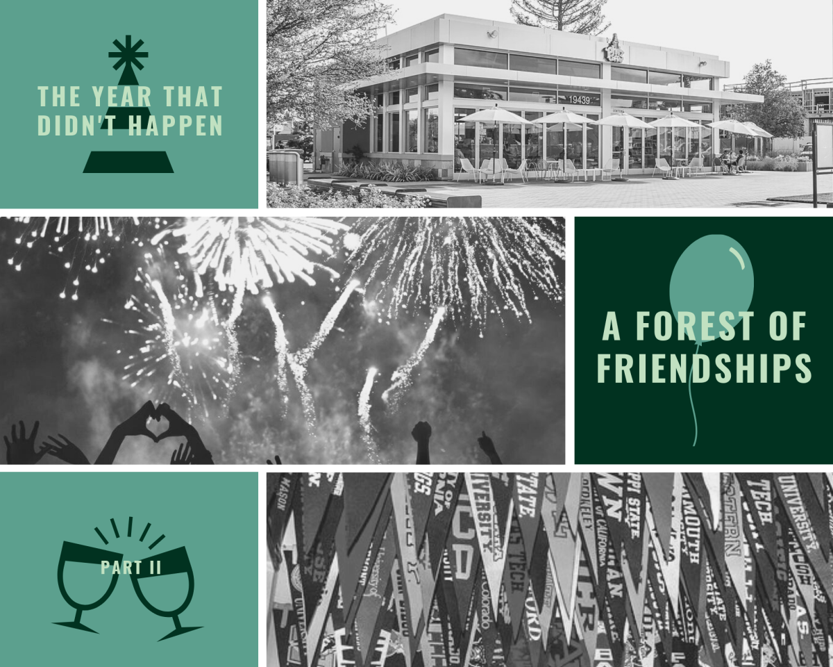 Part II: A Forest of Friendships
