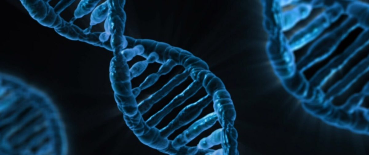 DNA. Original public domain image from Wikimedia Commons