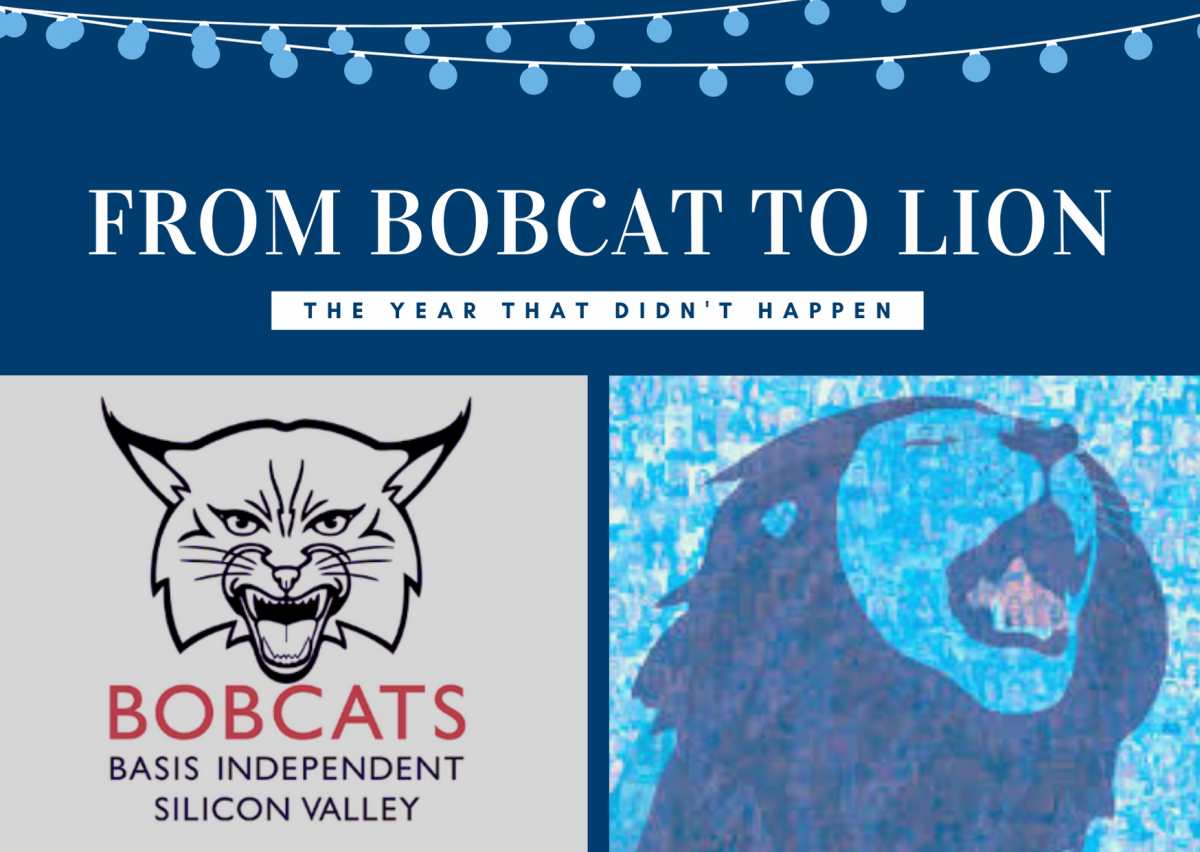 Part I: From Bobcat to Lion