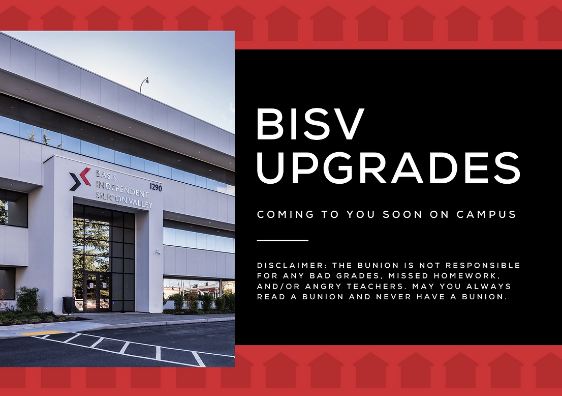 BISV Upgrades