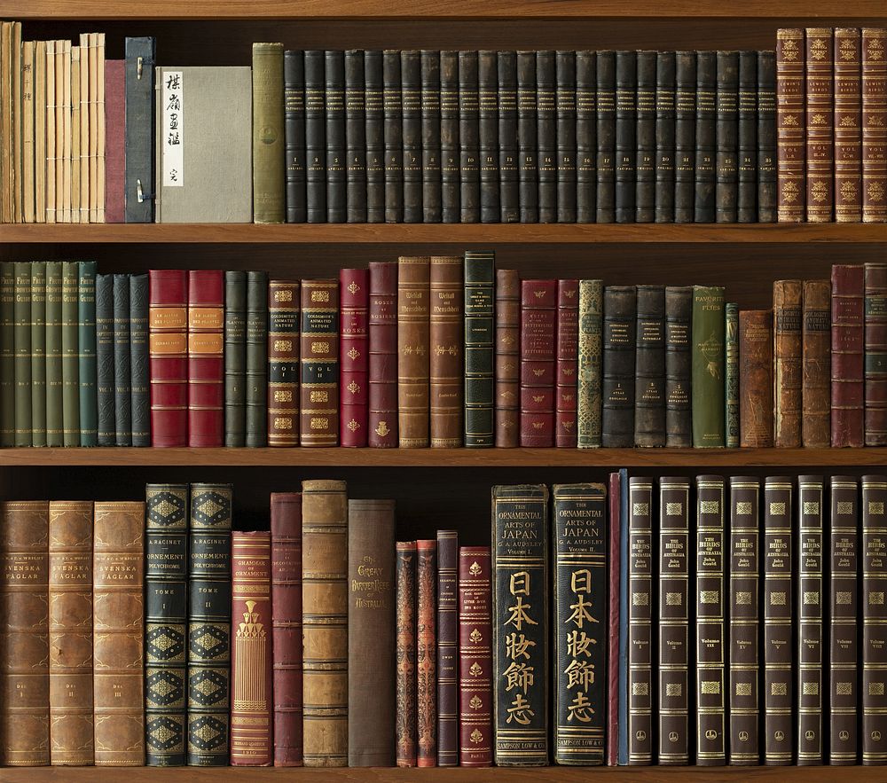 Antique+books+in+a+library%2C+from+our+own+original+public+domain+collection.