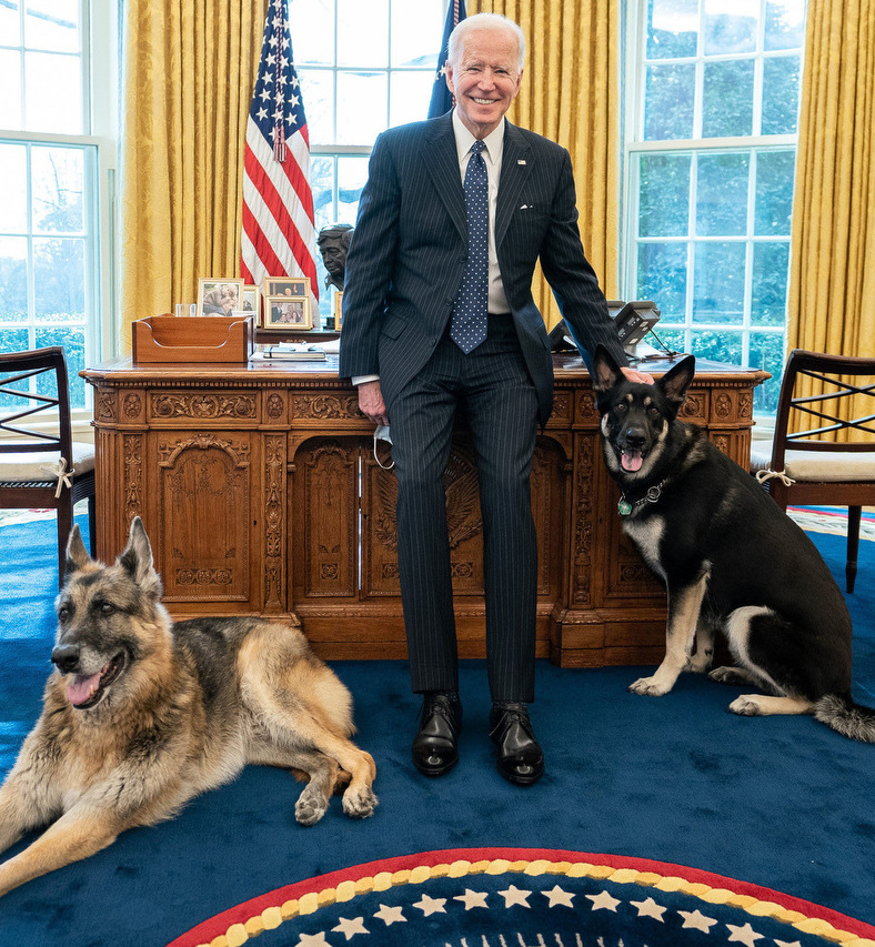 President Biden with his dogs