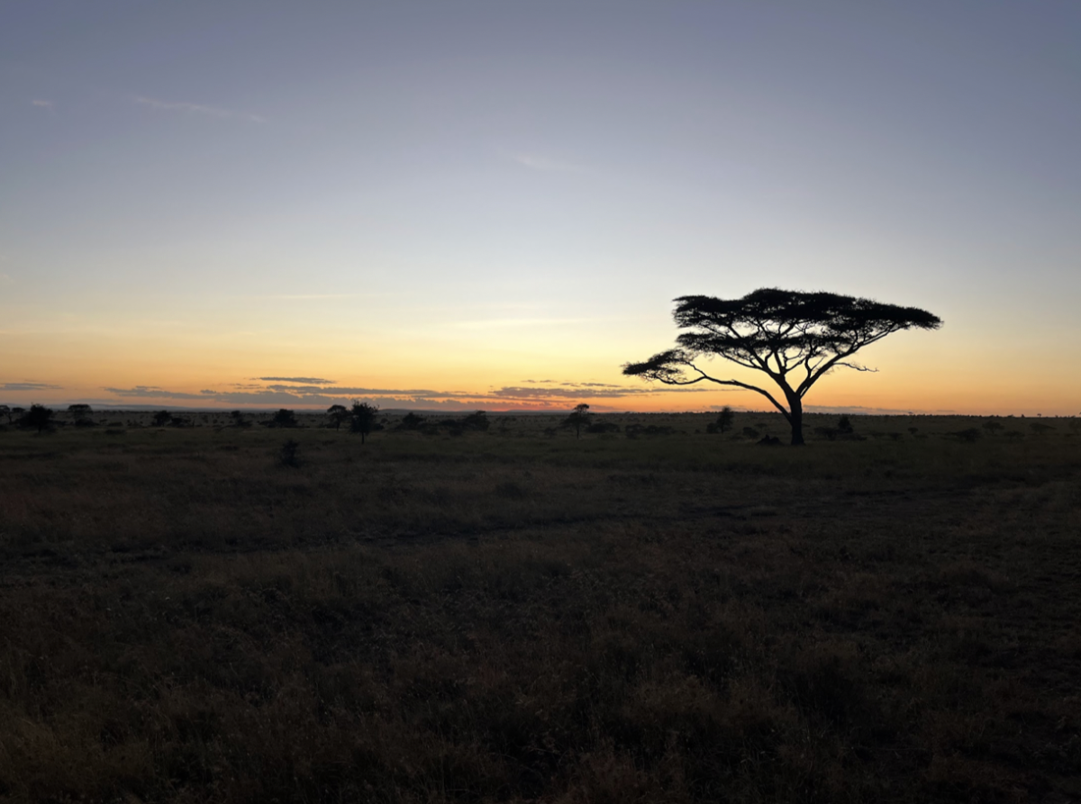 Tanzania: The Term Project