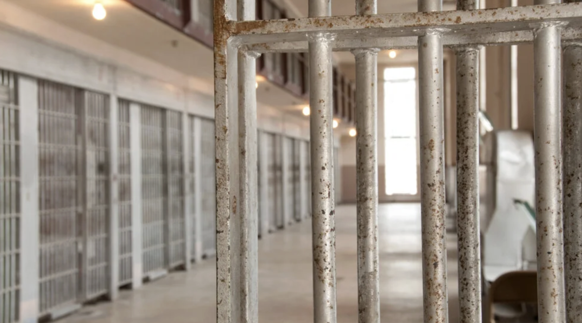 The Pursuit of Rehabilitation