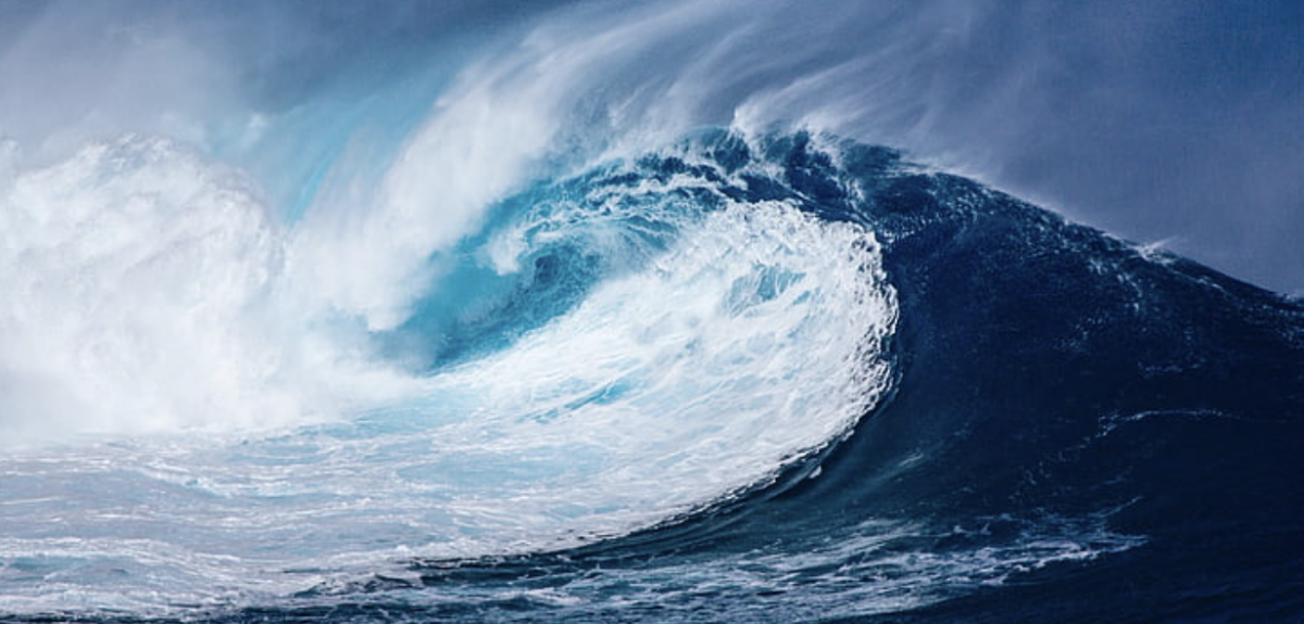 Riding the Blue Wave: Election Day Results